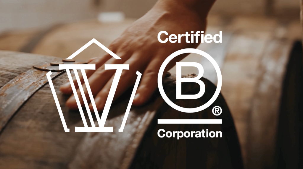 V x B Corp