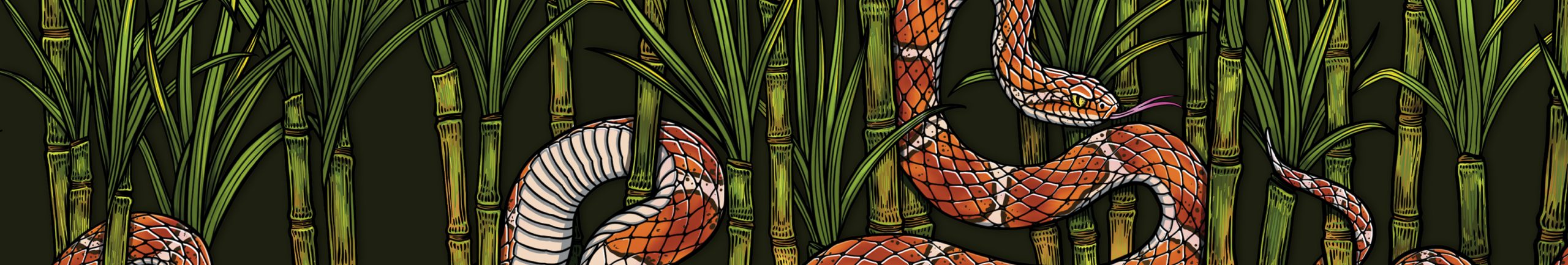 Sugar Snake Wallpaper